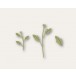 Birch Press Stanzschablone - Delicate Floral Buds Contour Layers