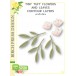 Birch Press Stanzschablone - Tiny Tuft Flowers and Leaves Contour Layers