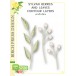 Birch Press Stanzschablone - Sylvan Berries and Leaves Contour Layers