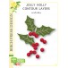 Birch Press Stanzschablone - 57512 Jolly Holly Contour Layers