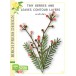 Birch Press Stanzschablone - 57518 Tiny Berries and Leaves Contour Layers