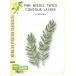 Birch Press Stanzschablone - 57519 Pine Needle Twigs Contour Layers