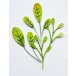 Birch Press Stanzschablone - 57525 Oval Leaf Branches Contour Layers