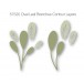 Birch Press Stanzschablone - 57525 Oval Leaf Branches Contour Layers