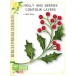 Birch Press Stanzschablone - 57558 Holly and Berries Contour Layers