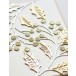 Birch Press Stanzschablone - 57558 Holly and Berries Contour Layers