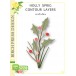 Birch Press Stanzschablone - 57559 Holly Sprig Contour Layers