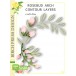 Birch Press Stanzschablone - 57561 Rosebud Arch Contour Layers