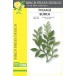Birch Press Stanzschablone - 57588 Foliage Bunch