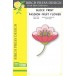 Birch Press Stanzschablone - 57597 Block Print Passion Fruit Flower