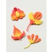 Birch Press Stanzschablone - 57604 Block Print Fabulous Flourishes