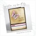 Karten-Kunst Clear Stamps KK-0009 - Texte-Kombination Elegante Schreibschrift