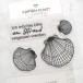Clear Stamps – Muscheln KK-0217 – Karten-Kunst Stempelset maritim mit Spruch & Muschelmotive