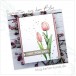 Karten-Kunst Clear Stamps KK-0234 - Scribble Tulips / Tulpen Stempel
