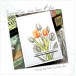 Karten-Kunst Clear Stamps KK-0234 - Scribble Tulips / Tulpen Stempel
