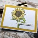Karten-Kunst Clear Stamps KK-0251 - Scribble Sunflower / Sonnenblume