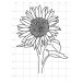 Karten-Kunst Clear Stamps KK-0251 - Scribble Sunflower / Sonnenblume