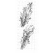 Karten-Kunst Clear Stamps KK-0263 - Blooming Plants / Blühende Zweige