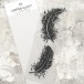 Karten-Kunst Clear Stamps KK-0269 - Schwungvolle Federn