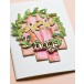 Memory Box Stanzschablone - Sunshine Daisy Stems