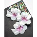 Memory Box Stanzschablone - Magnolia Blossom