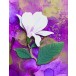 Memory Box Stanzschablone - Magnolia Blooming Bud
