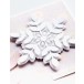 Memory Box Stanzschablone - 94753 Aurora Snowflake