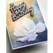 Memory Box Stanzschablone - 94766 Anemone Bloom