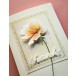 Memory Box Stanzschablone - 94770 Blooming Anemone
