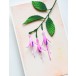 Memory Box Stanzschablone - 94783 Hardy Fuchsia Buds
