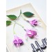 Memory Box Stanzschablone - 94784 Delicate Fuchsia Trio