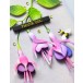 Memory Box Stanzschablone - 94784 Delicate Fuchsia Trio