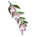 Memory Box Stanzschablone - 94788 Little Fuchsia Flower Trio and Branch