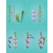 Memory Box Stanzschablone - 94790 Whimsical Gladiola