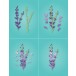 Memory Box Stanzschablone - 94791 Fanciful Gladiola Stem