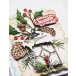 Memory Box Stanzschablone - 94802 Pinecone Duo