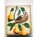 Memory Box Stanzschablone - 94805 Pretty Pear Branch