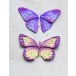 Memory Box Stanzschablone - 94831 Prairie Butterflies