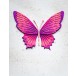 Memory Box Stanzschablone - 94832 Blue River Butterfly