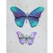 Memory Box Stanzschablone - 94836 Silver Moon Butterflies