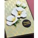 Memory Box Stanzschablone - 94844 Blushing Bloom