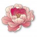 Memory Box Stanzschablone - 94873 Refined Peony Bloom