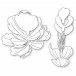 Memory Box Stanzschablone - 94873 Refined Peony Bloom
