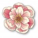 Memory Box Stanzschablone - 94875 Delightful Peony Blossom
