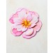 Memory Box Stanzschablone - 94875 Delightful Peony Blossom