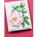 Memory Box Stanzschablone - 94876 Peony Bud Stems