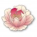 Memory Box Stanzschablone - 94877 Graceful Peony Blossom