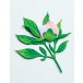 Memory Box Stanzschablone - 94881 Tender Peony Bud