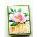 Memory Box Stanzschablone - 94884 Cherish Scalloped Frames