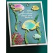Memory Box 3D Prägeschablone - Ocean Fish inkl.10  passender Stanzschablonen